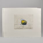 579565 Color etchings